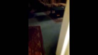 My brother peed on the toilet seat