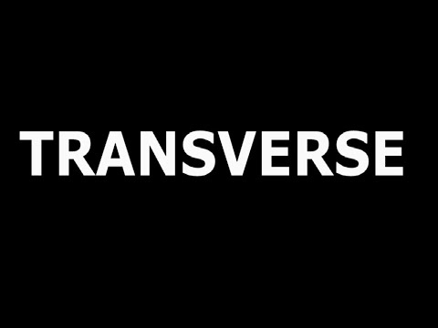 [DM] ZinC ft SebastiaN ft MYJ'L - Transverse