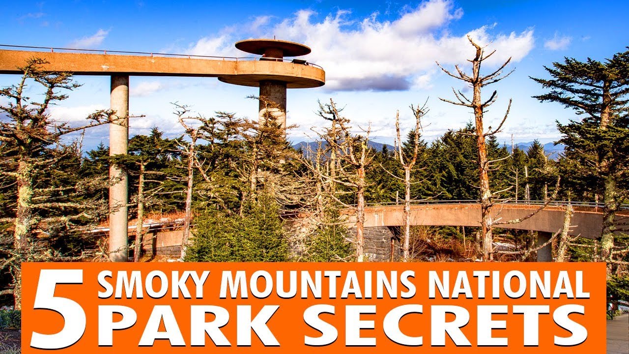 Great Smoky Mountains National Park scenic overlooks, wildlife, and hiking trails