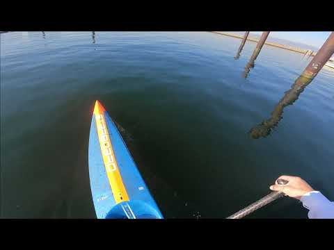 STARBOARD SPRINT 2021