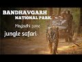Bandhavgarh National Park Magadhi Zone Bandhavgarh Tiger Reserve Wildlife Jungle Safari
