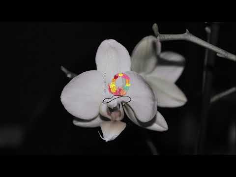 Tetric - Moving With Somebody Else (ft. Dominic Neill)..