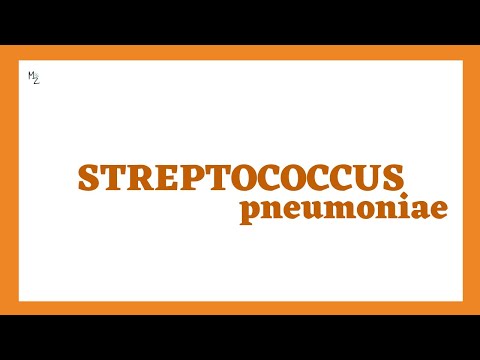 Streptococcus pneumoniae or Pneumococcus Lecture in Detail