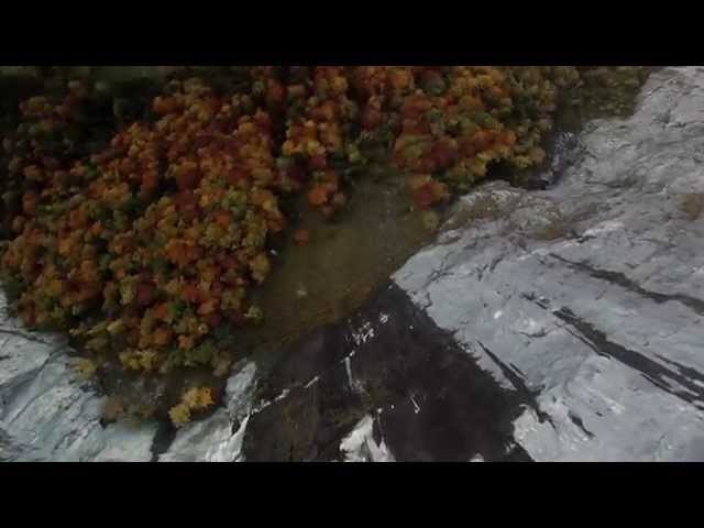 FREIFALL - EINE LIEBESGESCHICHTE    Offiizieller Kino-Trailer