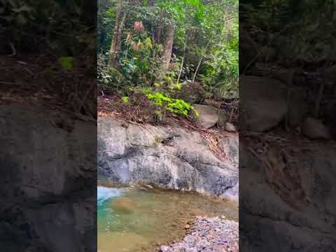 Arroyo Blanco 📍🌱😍🌳