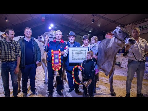 Dossena, la mucca più bella delle Orobie