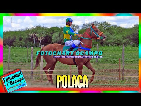 POLACA - General Belgrano - Formosa 03/12/2022