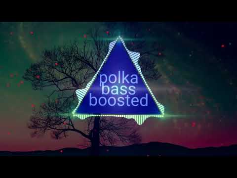 Wismari Poisid-Lvovi Polka Bass Boosted
