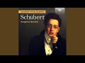 String Quartet No. 15 in G Major, D. 887: II. Andante un poco moto