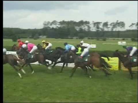 KO, 13. 8. 2016, 4. dostih - CENA SČADJ, SŠCHK Kladruby n.L. a SOUZ Velká Chuchle