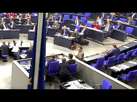 15.03.2019 - AfD-Abgeordneter Braun beschwert sich beim Präsidium - Bundestag / Fridays for Future