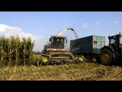 Claas Jaguar 900 Az.Agr Gomiero