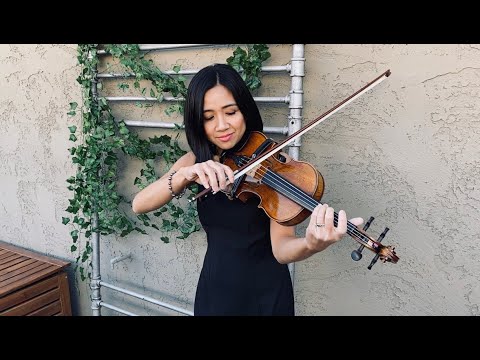 Promotional video thumbnail 1 for Decorative Violin