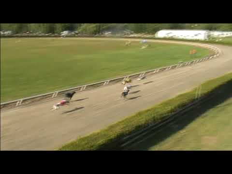 Rábapatona 2006 Vilagbajnoksag Angol agár kan döntő