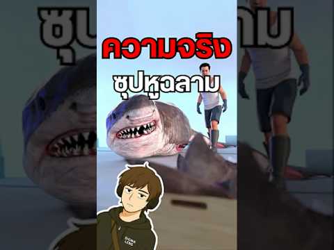 เรื่องจริงของฉลามที่ทำคนดูอึ้ง😱 #ฉลาม #สัตว์โลก #ซุปหูฉลาม #ความรู้รอบตัว #เรื่องน่ารู้ #ไวรัล