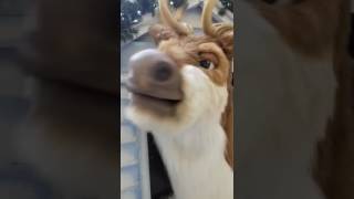 Santa's reindeer sings is Christmas spirit woops