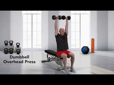 Seated Dumbbell Shoulder Press