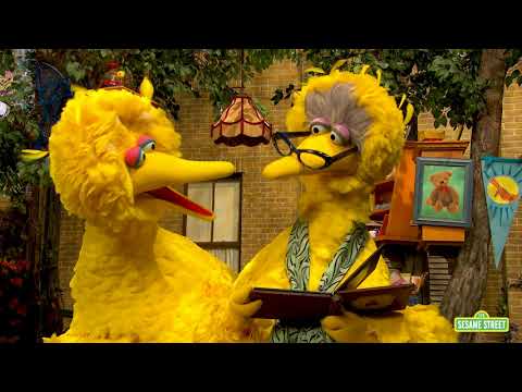 Big Bird and His Granny