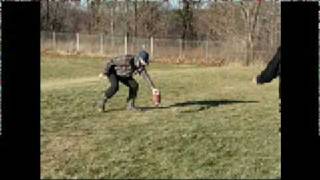 Binghamton Youth I&#39;m Not Cool By Scott Krippayne