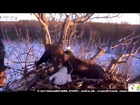 Slomo - Juvie intrusion - Trio Bald Eagles, Stewards of UMRR