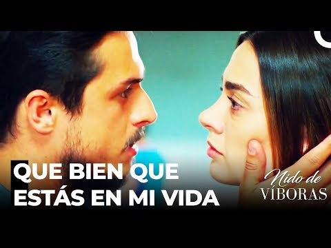 Esté Siempre A Mi Lado - Nido De Víboras