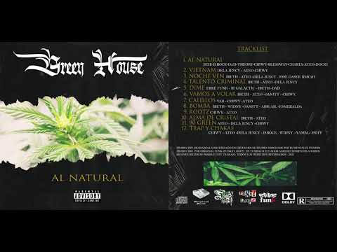 GREEN HOUSE - 5. DIME ( ERRE FUNK - BI GALACTIC - IBETH - DAD )
