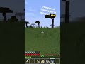 I Bet None Of Y All Knew This Minecraft Letsplay Shorts