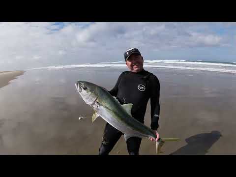 Kingfish in the surf