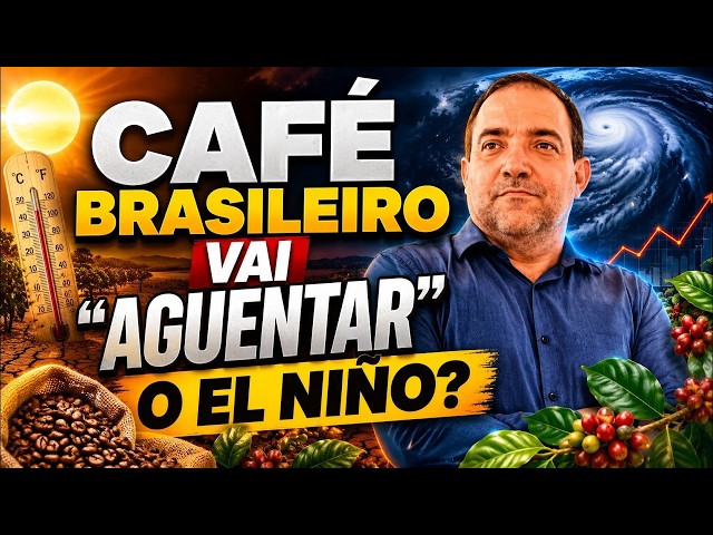 Café brasileiro vai “aguentar” o El Niño?