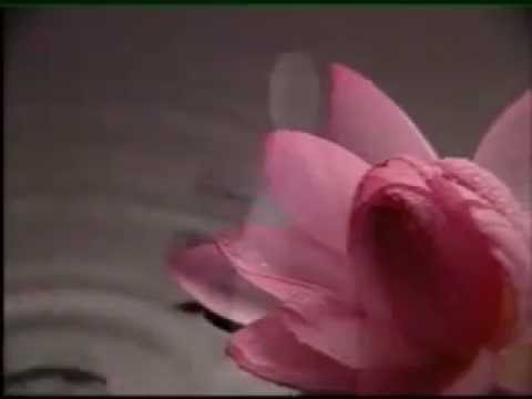 Electric Aroma Diffusers By Puzhen