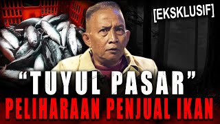 Download lagu DUIT 10 JT/HARI PASTI DITANGAN ?! PENGAKUAN PEDAGANG IKAN DI PASAR PENGANUT PESUGIHAN TUYUL SUPER mp3