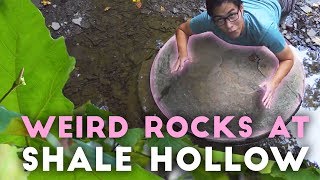 Shale Hollow 4K | Unique Ohio Geology and Weird Rocks