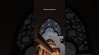 Download lagu sholawat assa'adah #shorts #storywa #storywakekinian #story mp3