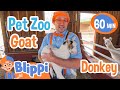 Blippi S Pet Zoo In Brazil 1 HOUR Moonbug Kids Fun Stories And Colors