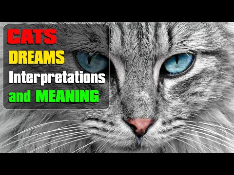 What Do Dreams about Cats Mean? - it is  good to see cat in dream? - Dream Meaning Interpretations