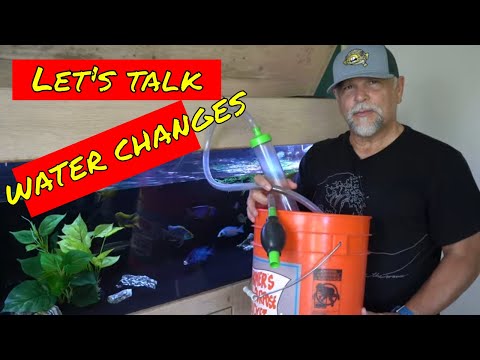 Top 5 Water Change Tips [Why I'll Always Be Doing Them]  - Hard Lessons & Experience - Ep. 2