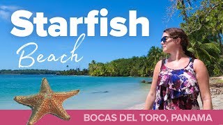 STARFISH BEACH! The Best Beach in Panama.