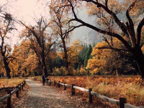 Acamar EP (IV59 Frankey & Sandrino) ✔