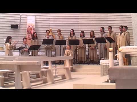 Zbor Arcus - Gloria laus et honor