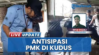 Catat 67 Hewan Ternak Terjangkit PMK di Kudus, Dispertanpangan Terus Suntikkan Vaksin hingga