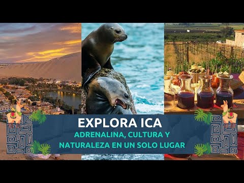 Video del tour