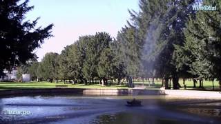 Samba In Preludio - Vinicius De Moraes - Toquinho - Ornella Vanoni - Gli Amori Lontani...