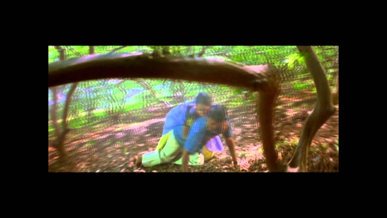Yathe Yathe Adi Lyrics  | Mayilu | Shammu, Shri, Vidharth | Pavatharani, SriramParthasarathy | Ilaiyaraaja