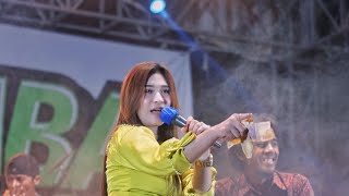 Download lagu 💃💃DJ Senam Aerobic - Tiara - Ivha Berlian - ELSAMBA LIVE IN DAPURKEJAMBON - JB27 MUSIC mp3