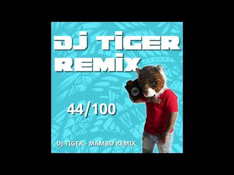 DJ TIGER-Steve Aoki & Willy William ft. Sean Paul, El Alfa, Sfera Ebbasta, Play-N-Skillz-MAMBO REMIX