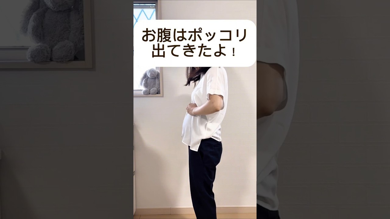 【コメントで教えて✨】ようやく安定期突入🤰 #安定期 #妊婦 #shorts