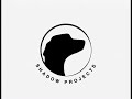 Shadow Projects Logo Audio Variant History