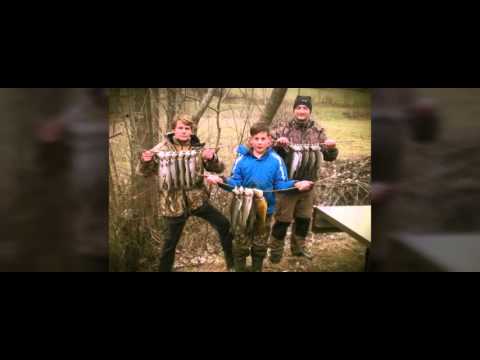 Bilder Video ( Hecht,Zander,Karpfen,Stör U.S.W)