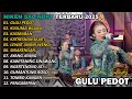 GULU PEDOT NIKEN SALINDRY FULL ALBUM TERBARU VERSI CAMPURSARI VIRAL TRENDING 2025 2024