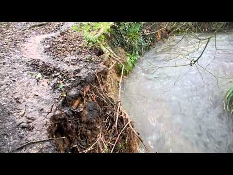 Active erosion and deposition on a meander of the River Caul Bourne, Isle of Wight
